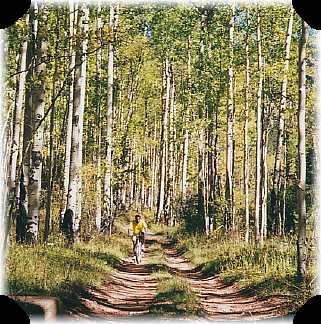 Biking in Emerald Valley