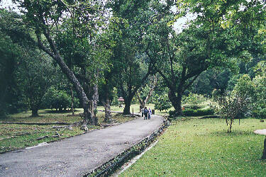 Penang Botanical Garden