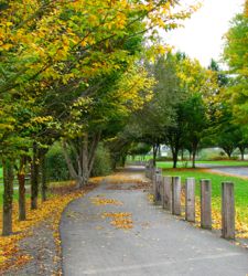 Footpath at Vancouver Lake